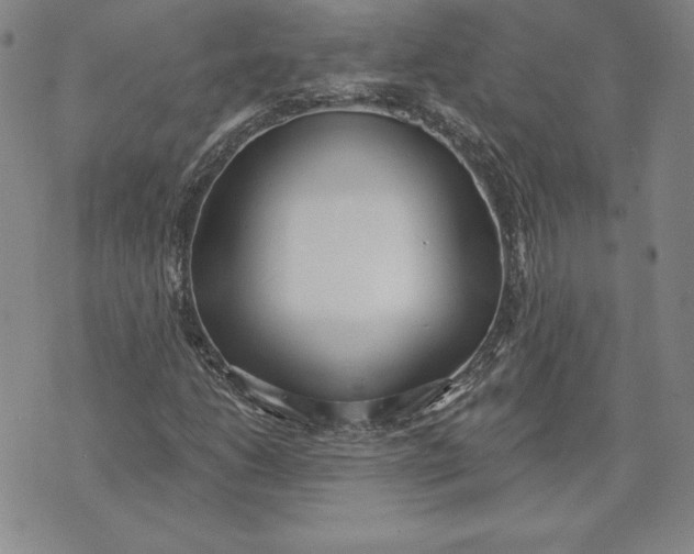 X0000072491206200608041407