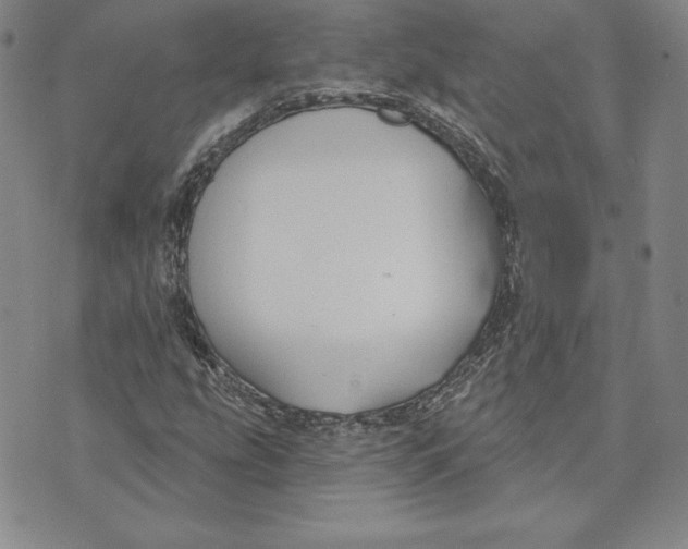 X0000072491207200608041407