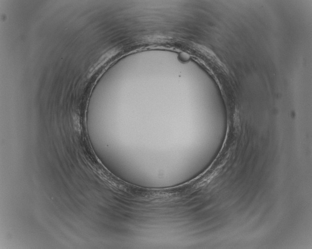 X0000072491209200608041407