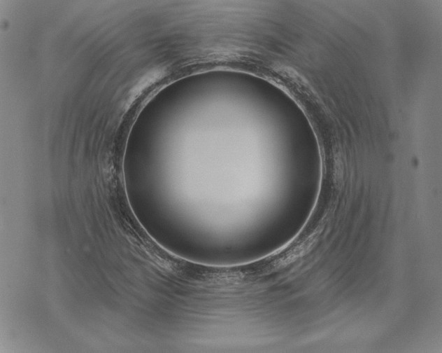 X0000072491210200608041407