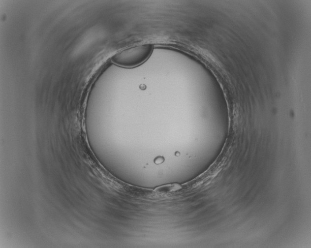 X0000072491212200608041407