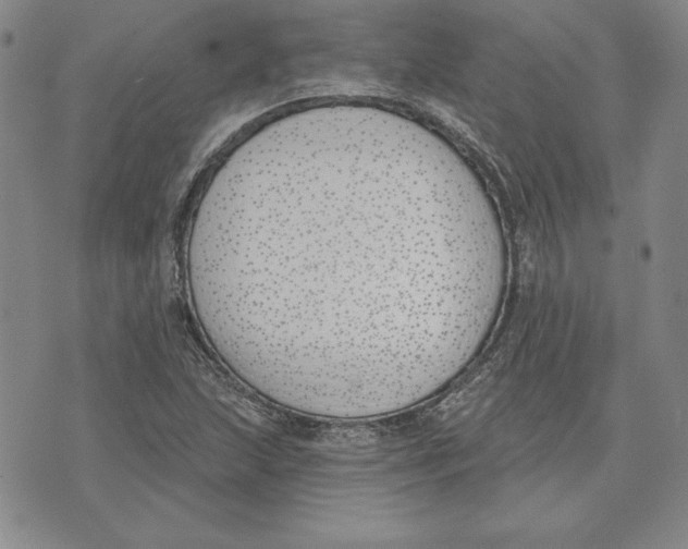 X0000072491215200608041407