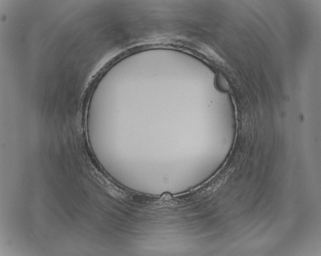 X0000072491216200608041407