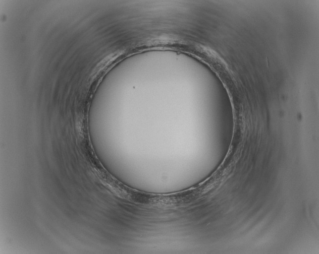 X0000072491217200608041407