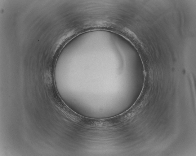 X0000072491218200608041407