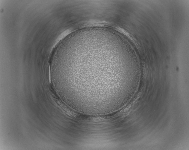 X0000072491219200608041407