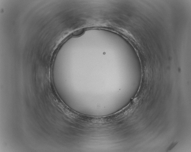 X0000072491220200608041407