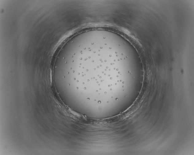 X0000072491221200608041407