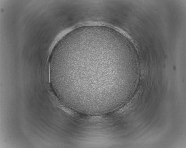 X0000072491223200608041407