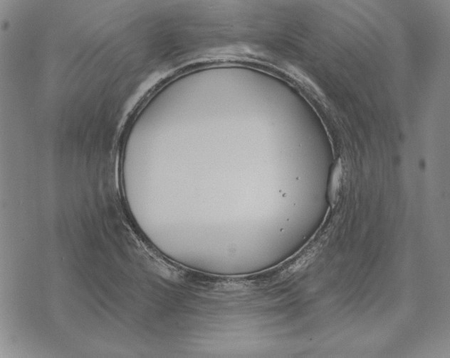 X0000072491224200608041407