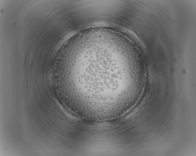 X0000072491225200608041407