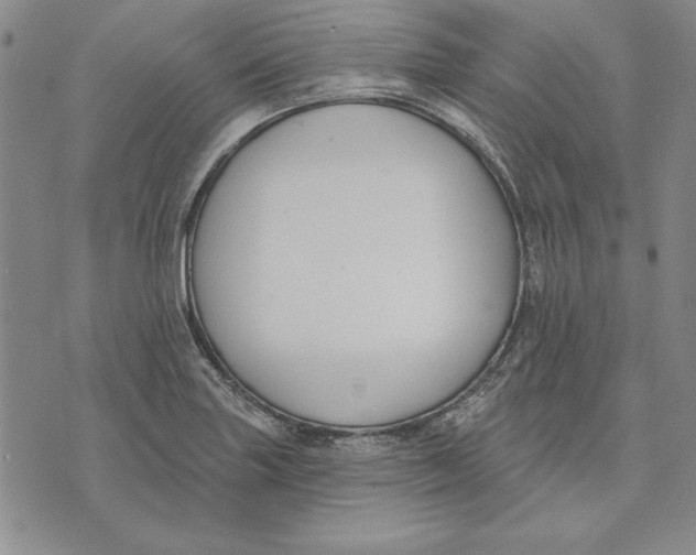 X0000072491227200608041407