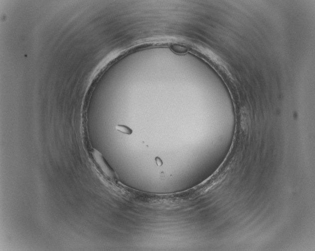 X0000072491229200608041408