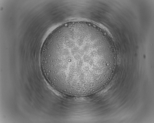 X0000072491231200608041408