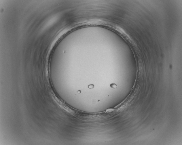 X0000072491232200608041408