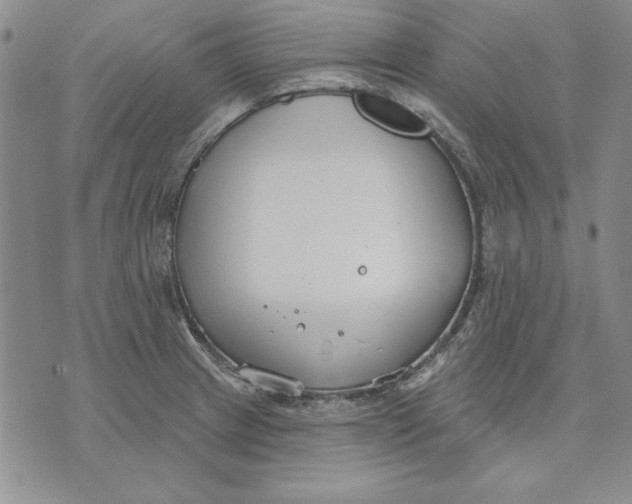 X0000072491233200608041408