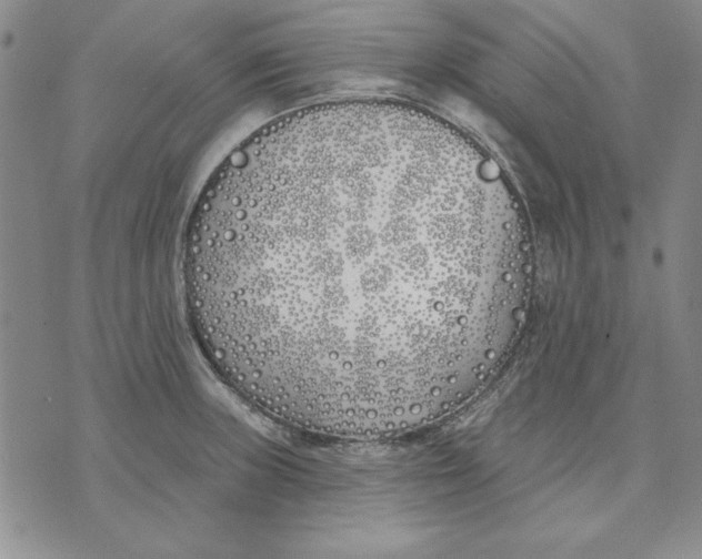 X0000072491235200608041408