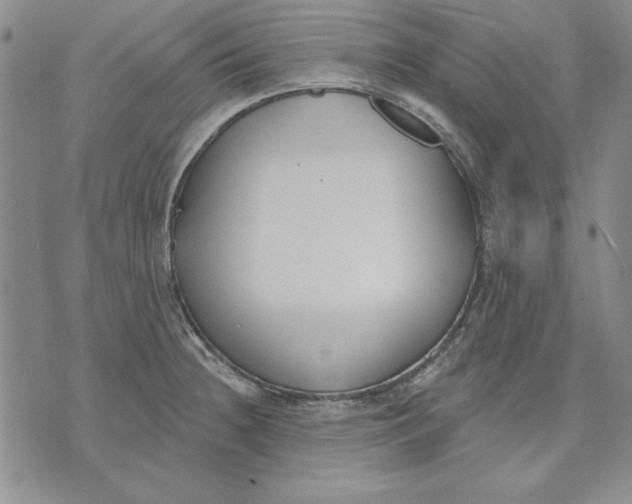 X0000072491236200608041408