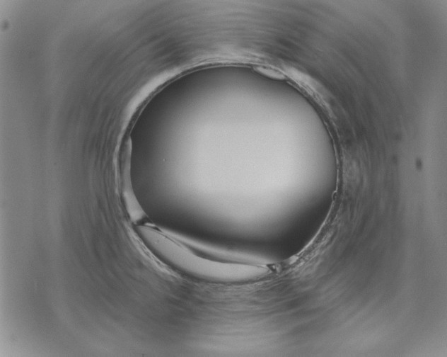 X0000072491238200608041408