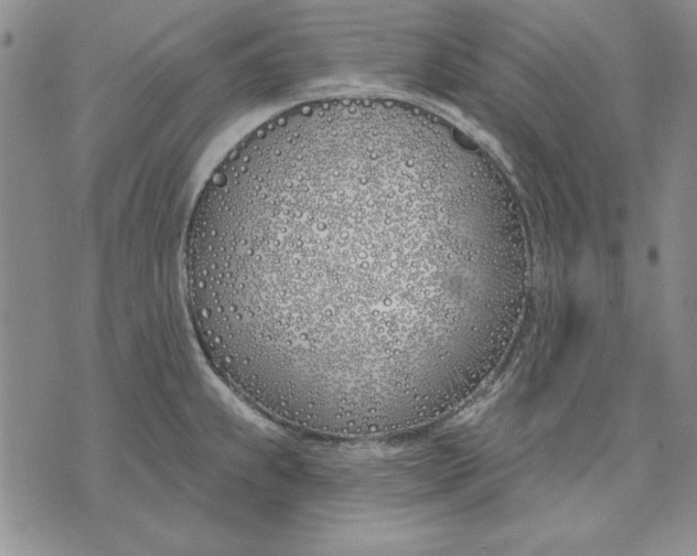 X0000072491239200608041408