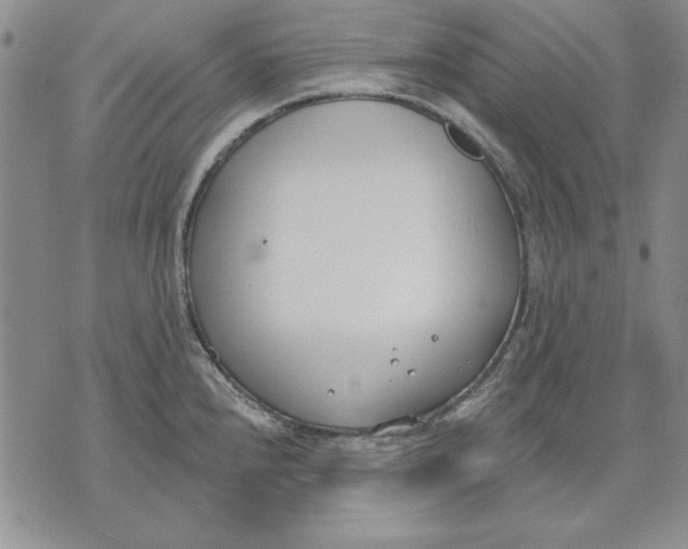 X0000072491240200608041408