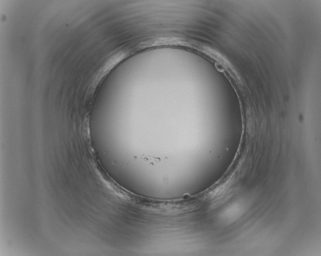 X0000072491241200608041408