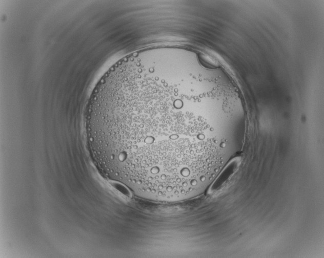 X0000072491243200608041408