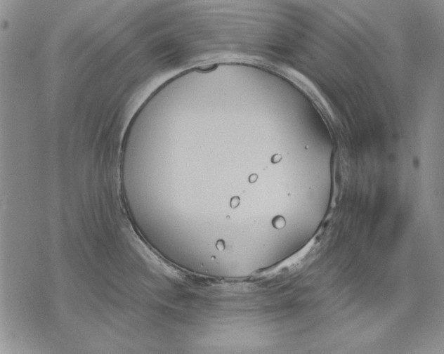 X0000072491244200608041408