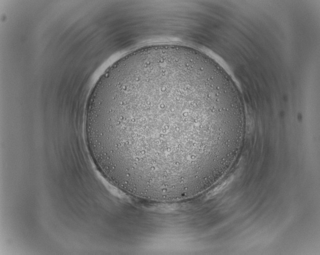 X0000072491245200608041408