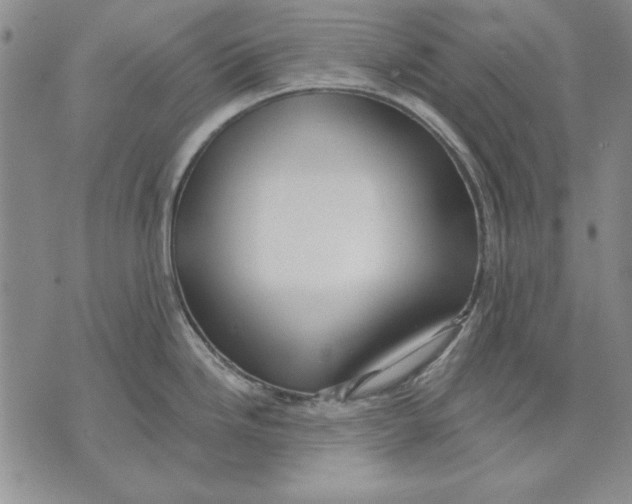 X0000072491246200608041408