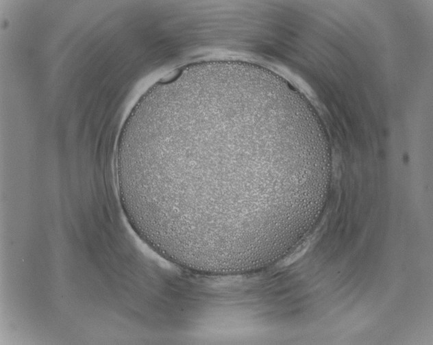 X0000072491247200608041408