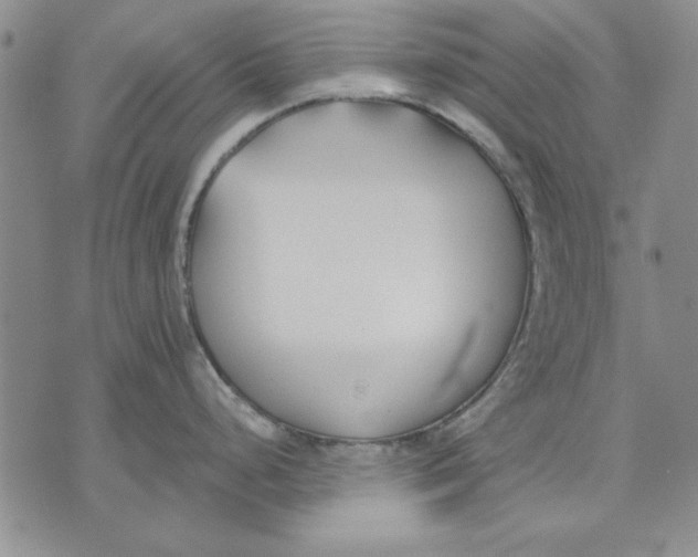 X0000072491248200608041408