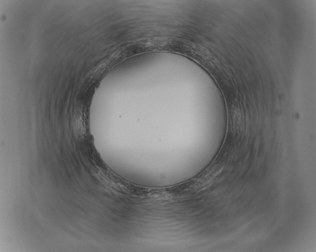 X0000072491250200608041407