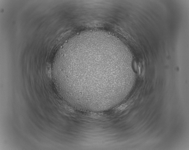 X0000072491251200608041407