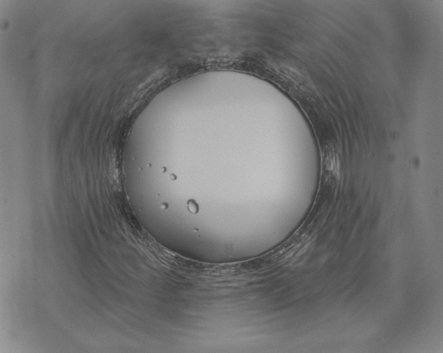 X0000072491252200608041407