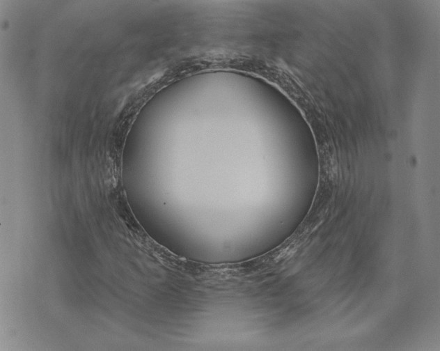 X0000072491253200608041407