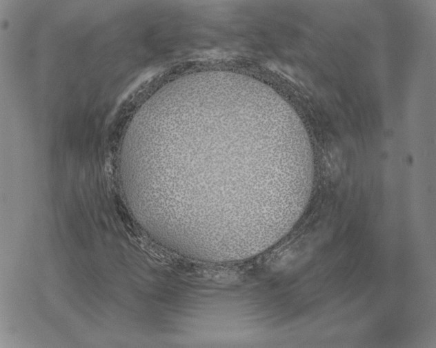 X0000072491254200608041407