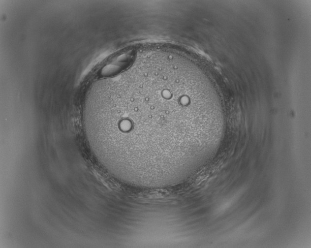 X0000072491255200608041407