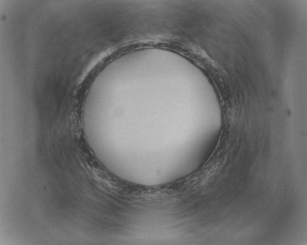 X0000072491256200608041407