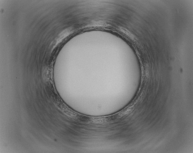 X0000072491258200608041407