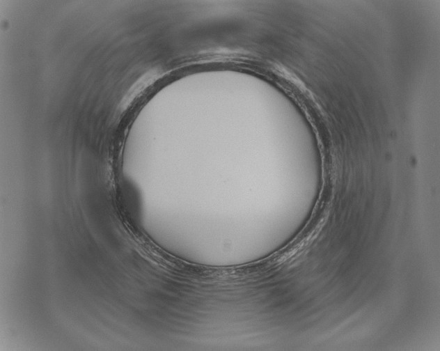 X0000072491259200608041407