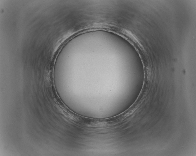 X0000072491260200608041407