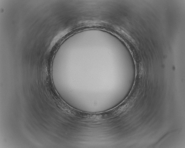 X0000072491261200608041407