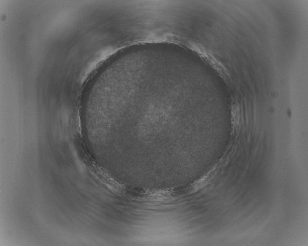 X0000072491262200608041407