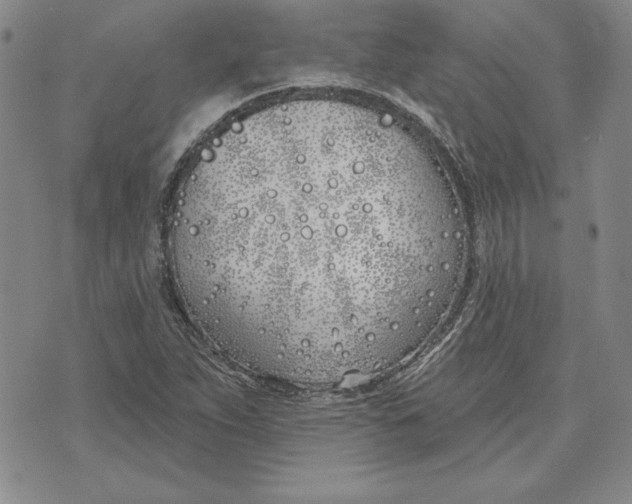 X0000072491263200608041407