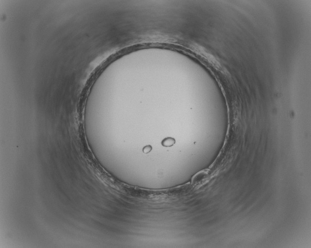 X0000072491264200608041407