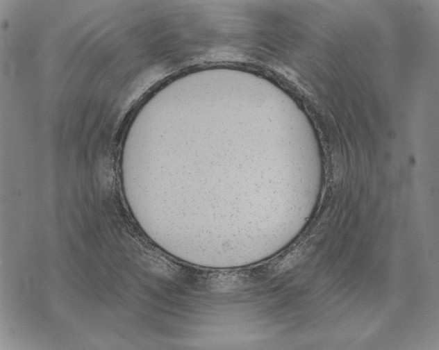 X0000072491266200608041407