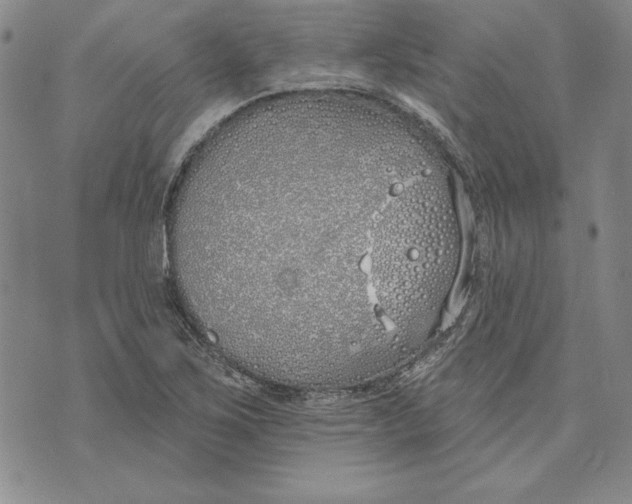 X0000072491267200608041407