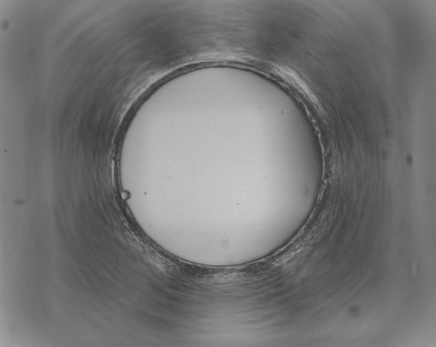 X0000072491268200608041407