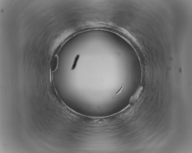 X0000072491269200608041407